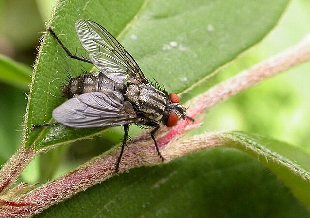 A kép eltávolítva.