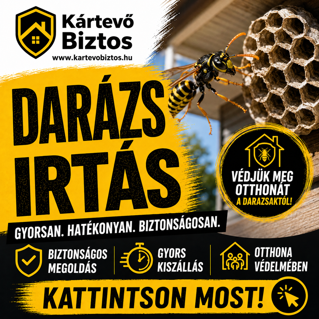 darázs irtás